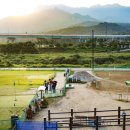 양호파크골프장 이미지