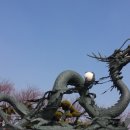 보양산업자원 이미지