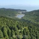 편백숲 이미지