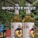 도나플로르 | 도나 플로 레지오날 리스보아 화이트 Dona Flor Vinho Regional Lisboa White