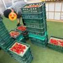 일순농장 이미지