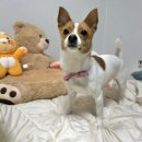 월월스낵 이미지