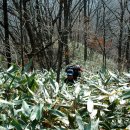 청산모텔 이미지