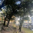 광주공원 어린이 놀이터 이미지