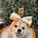 온블리살롱 이미지