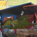 한국의료기상사 | [KOICA]27. 남은 겨울 방학은 어떻게 보냈냐고요?(사실 음식 일기에 가까운)