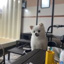 아이러브 장자도민박 이미지