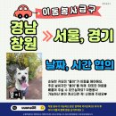 똘이/날짜.시간협의/경남창원＞서울.경기 이미지