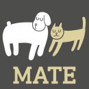 압구정메이트동물병원 이미지