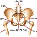 필라테스혜