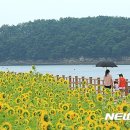 솔섬 이미지