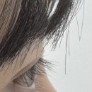 마산 산호동 속눈썹 펌 잘하는 곳 [봄트뷰티]