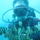 학포웰빙가 이미지