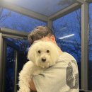 대가야 캐슬펜션1 | 남양주 독채펜션 추천｜애견동반·대가족·워크샵 모두 가능했던 캐슬퀸 1박 후기