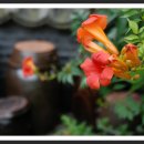 오산리 석불입상 이미지