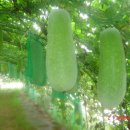 샘밭농장 이미지