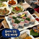 진도횟집 | 쏠비치 진도 근처 픽업 가능한 맛집 바다향 횟집 내돈내산