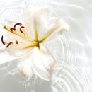 소노케어 이미지