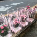 오명옥 플라워 이미지