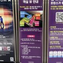 삼성 비상분리 6호(삼성 16호) | 강원도 속초 체스터톤스 호텔 스탠다드 더블룸 겨울 수영장 치유인 온천 사우나 후기