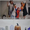 스타인터내셔널 이미지