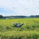 참새&허수아비 이미지