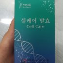 내돈내산 후기 헤베니케 셀케어 발효식품 체험 후기