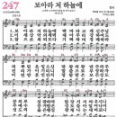 247 이미지