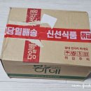 CW농장 | 올팜 수확 당근 배송 / 오늘의집 오늘의 가든 스파티필름 화분 배송 후기