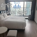 파라드시티 | 부산여행 숙소 추천! 영무 파라드 호텔 해운대 (오션뷰, 반려견 동반 가능)