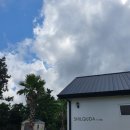 쉴쿠다 | 제주 / 쉴쿠다 케이브 감성 독채숙소 내돈내산 후기