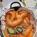 전주대하 가성비 갑은 이집! 살 꽉찬 대하+전복은 서비스~ | 전주 금암동 덕호수산