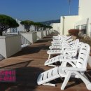 프리모부동산중개 이미지