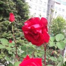 가좌근린공원 이미지