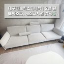 (주)삼정환경산업 | 대구패브릭소파세탁｜북구 오페라삼정그린코아, 2년 사용한 에싸소파 새숨결 후기