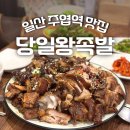 일산 주엽역 족발 : 10년된 로컬 맛집 당일왕족발 솔직후기
