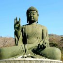 대불행정사 이미지