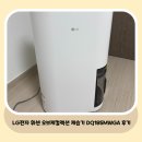 185 | 가전 후기 / 제습기 추천 / LG전자 휘센 오브제컬렉션 18L 제습기 DQ185MWGA 후기 / ♥내돈내산♥