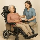 아시아의료기 | (사용후기)복지용구 리클라이너 거상형휠체어 대여/렌탈 사양 추천 기능 특징 가격은?당일/주말 픽업가능