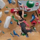 포고클라임 부산 클라이밍 주차 운영시간 이벤트 난이도 후기