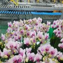 사계절꽃집 이미지