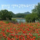 출렁다리휴게소 | 임실 붕어섬 생태공원 만발한 작약과 샤스타데이지 옥정호 출렁다리 스릴까지 알찼던 새부산관광 후기