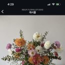 너프플로럴스튜디오 이미지