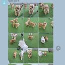 개러리아 송파점 이미지