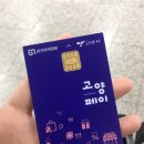 고당구장 | 청년기본소득 고양페이 지역화폐 사용처 실제사용후기