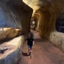 구석기체험숲1 이미지