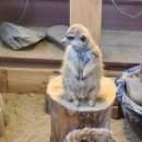 기숙농장 이미지