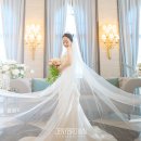 스카이컨벤션웨딩(주)