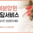 힐링애견샵 이미지