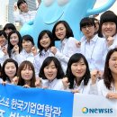 하이바오 이미지